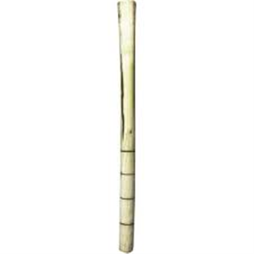KARA GÜRGEN  KESER SAPI 50CM